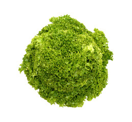 Obraz premium Fresh mixed green salad isolated on white