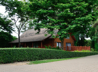 Fototapeta na wymiar Modern Log Cabin Home in a Forest Environment