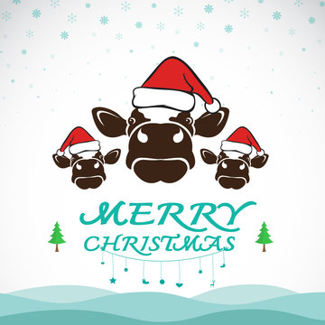 Vector merry christmas greeting cow card on white background