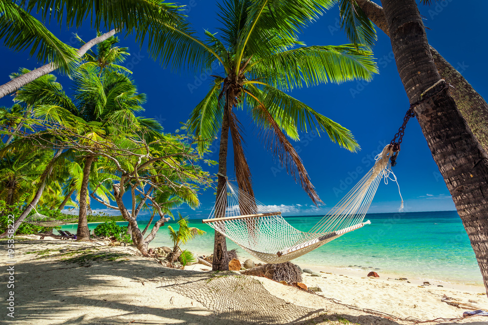 Wall mural empty hammock in the shade of palm trees on tropical fiji