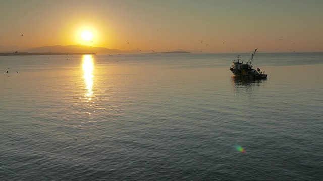 Anchored fishing trawler in the morning with seagulls and sunrise on the background. 4k