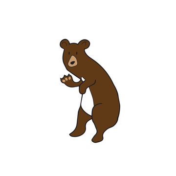 Animal brown bear