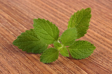 Fresh healthy lemon balm on wooden table, herbalism