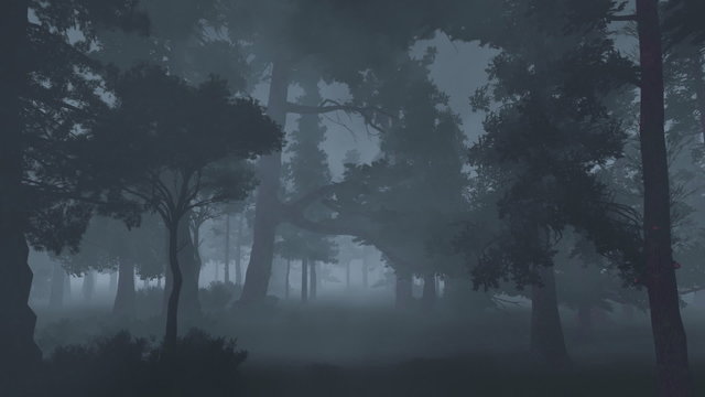 Old Spooky Forest in fog at Night. Camera tracks through foggy forest. Computer generated forest.