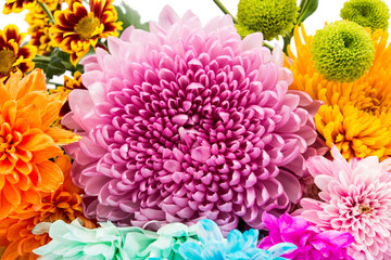 Sweet color chrysanthemums  for the soft background.