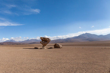 Viaggi in Sud America:  Arbol de piedra. Formazione rocciosa erosa dal vento nel deserto del siloli, Ande.