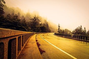 road in the forest with foggy sky