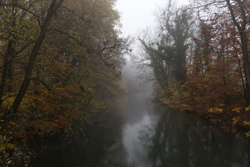 An river with a lot of colorful autumn colored trees around it. 