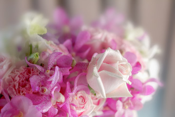 The background image of the colorful flowers selective focus