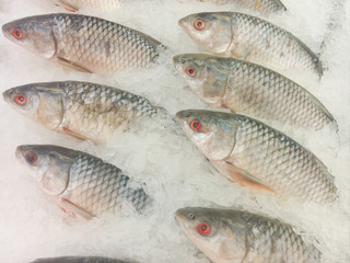 Fresh fish on ice basket in supermarket