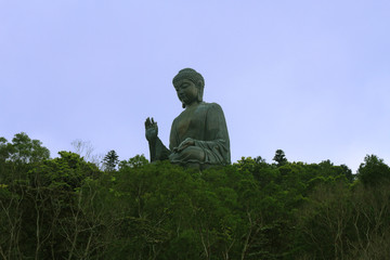 big Buddha in the jungle