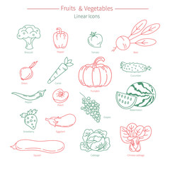 Vector collection of vegetables and fruits