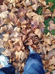 herbstlich