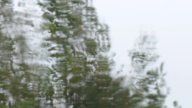 Blick durch Fensterscheibe bei Sturm und Regen