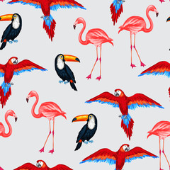 Obrazy  Wzór tropikalnych ptaków z papugami, tukany i flamingi