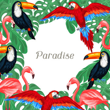 Tropical birds background design with palm leaves