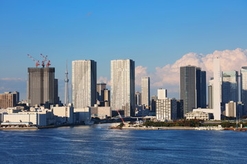 Fototapeta premium 東京湾 都市風景