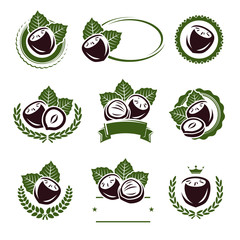 Hazelnut nuts labels and elements set. Vector