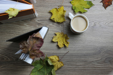 Naklejka na ściany i meble autumn leaves on top of the book