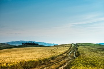 Fototapeta na wymiar summer landscape of Tuscany, Italy.