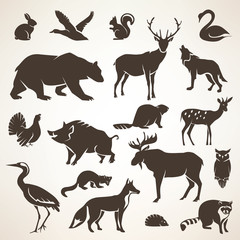european forrest wild animals collection of stylized vector silh - 95376216