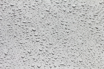 Rain