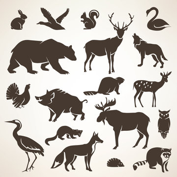 european forrest wild animals collection of stylized vector silh