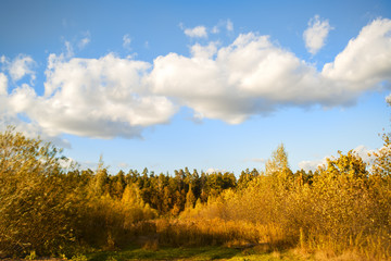 Fototapeta premium Sunny Day in Mamontovka Village