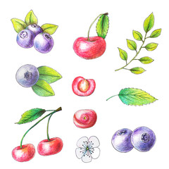 Fruits drawn by color pencils