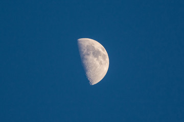 Half moon on blue sky