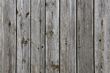 Fototapeta premium Holz
