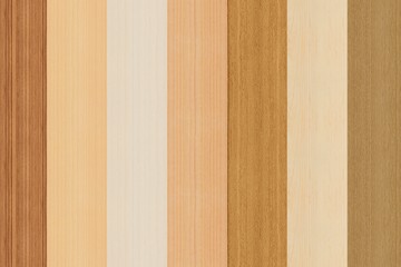 Fototapeta premium Wood texture background