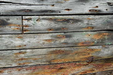 Holz