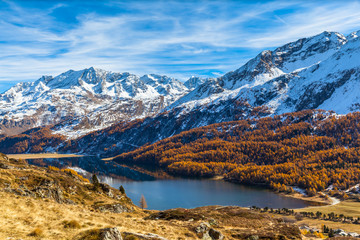 Fototapeta premium Stunning view of Sils lake in golden autumn