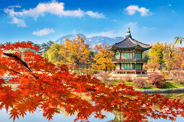 Gyeongbukgung and Maple tree in autumn in korea. - obrazy, fototapety, plakaty
