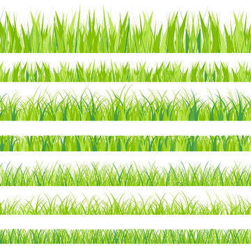 Vector illustration. Set with realistica grass. Nature.