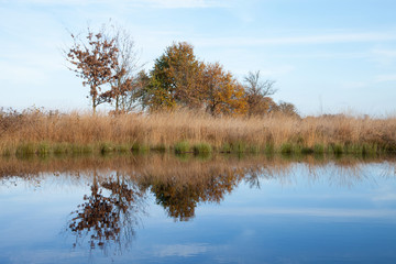 Moor Landschaft Natur