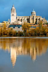 Salamanca Cathedral. Castile and Leon, Spain