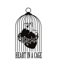 in human heart cells