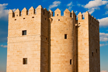 Torre de la Calahorra, Cordoba, Spain