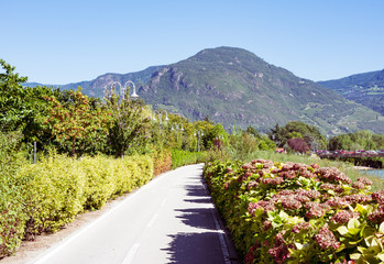 Fototapeta Bikeway in Bolzano obraz