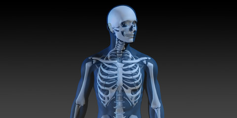 3D Concept of Human Male Body and Skeleton