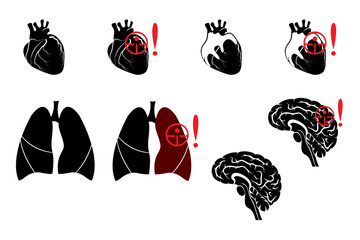 lungs,heart and brain