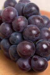 ブドウ　ニューピオーネ
