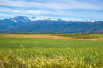 Obraz premium sierra nevada mountain range spain