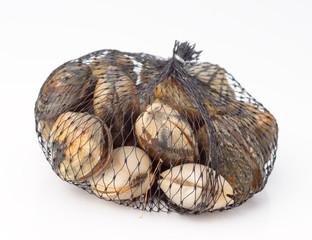 clams package isolated on white background