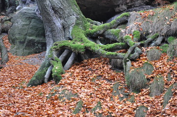Sächsische Schweiz, Papststein