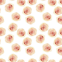 Watercolor seamless Rose pattern on white background