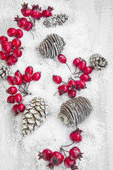 Christmas Decoration with Red Berries and Pine Cones