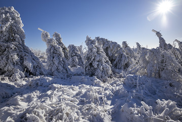 Winter Wonderland auf dem Fichtelberg im Erzgebirge, Sachsen